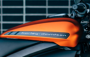 fist electric Harley-Davidson