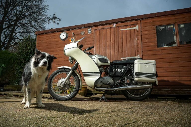 Triumph Trophy TR6P 1972 with Blue, the family Border Collie